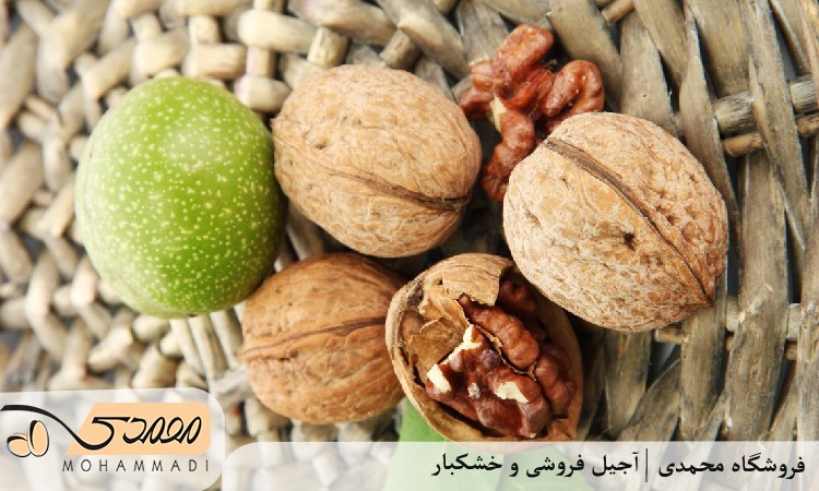 گردو