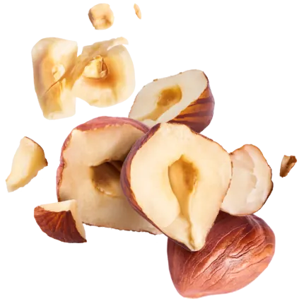 فندوق