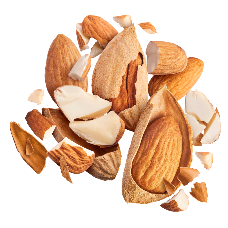 خرید بادام