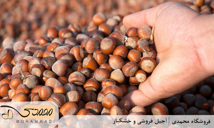 فندق برای کبد چرب چه خاصیتی دارد؟