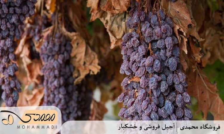 مویز
