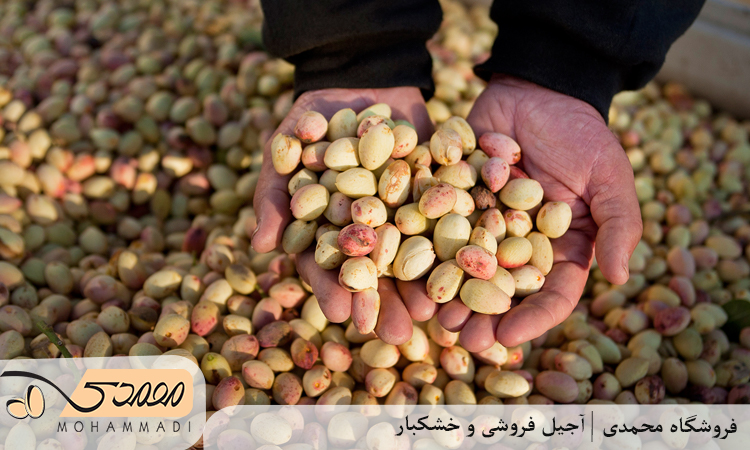 تفاوت آجیل ایرانی و خارجی؛ کدامیک بهتر است و چرا؟