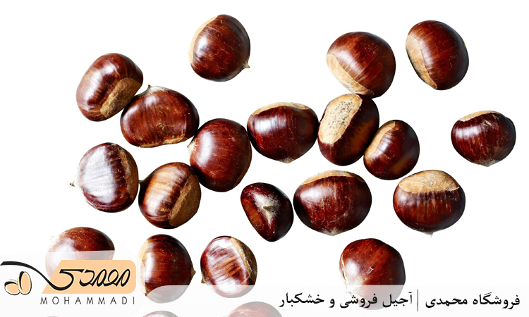فندق؛ دوستدار سیستم عصبی