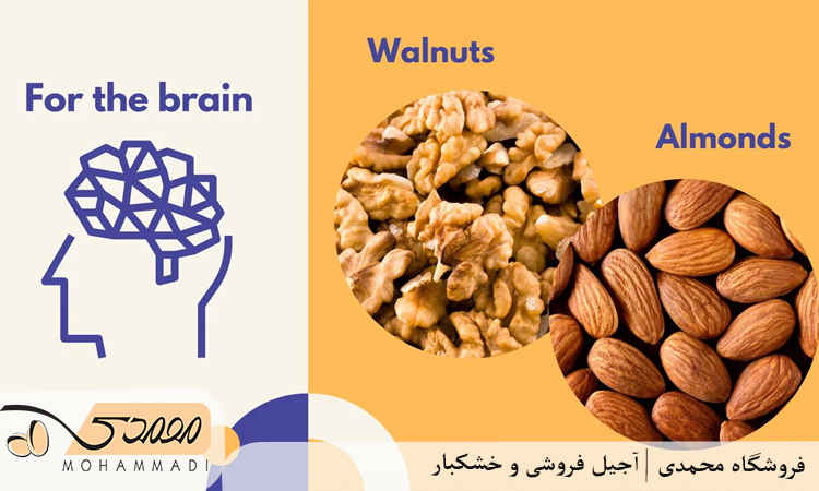 فواید مصرف آجیل برای تقویت مغز و حافظه