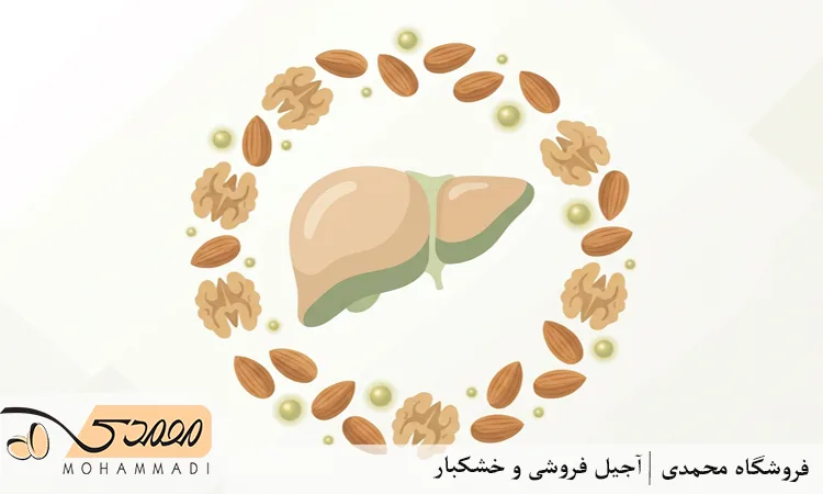 تاثیر آجیل بر کبد